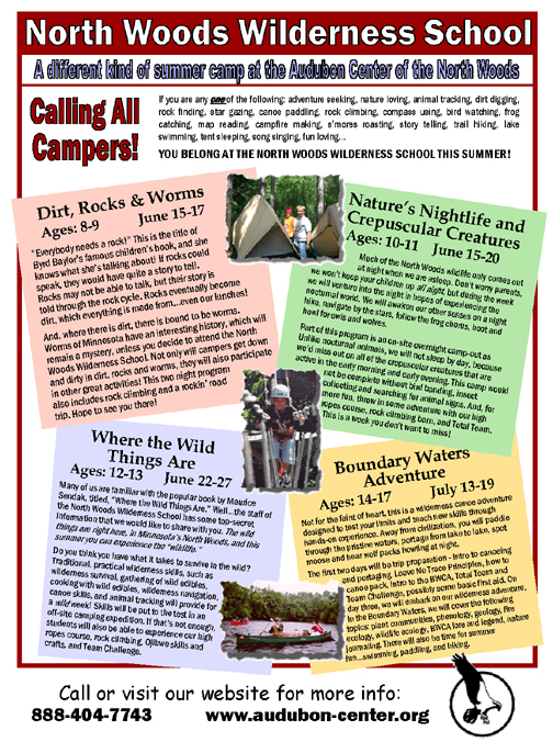 SummerCampFlyer